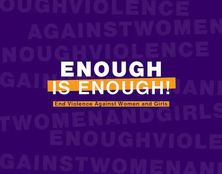 Policy Dialogue on Ending Violence against Women and Girls  Action to Guarantee Women’s Safety